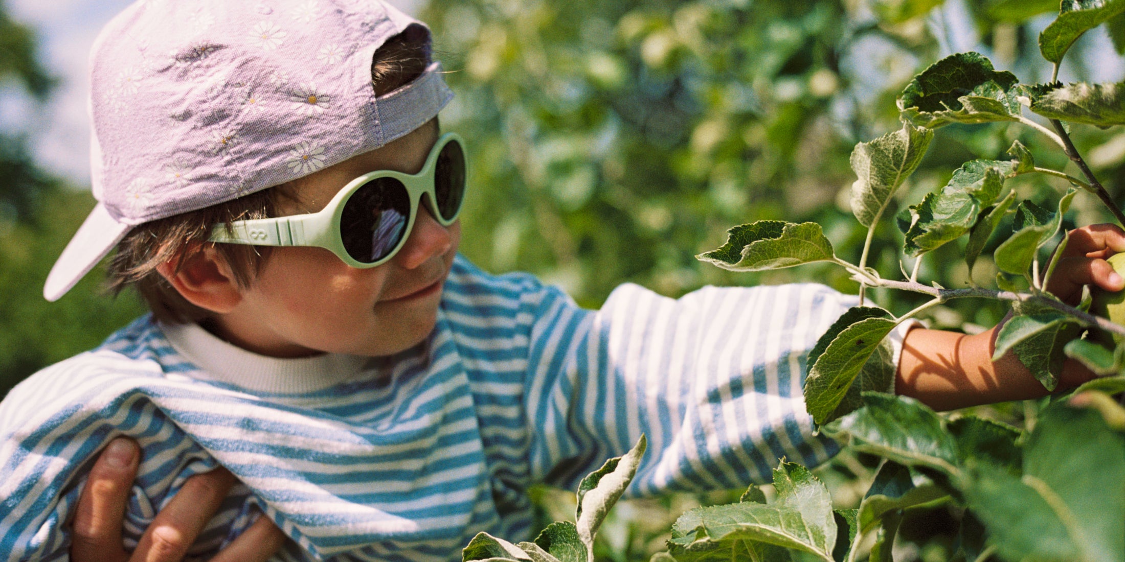 Child wearing Mokki Click & Change sunglasses and a cap, reaching out to touch leaves in an orchard.